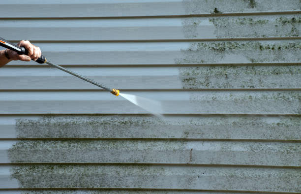 Best Attic Mold Removal  in Grass Lake, MI