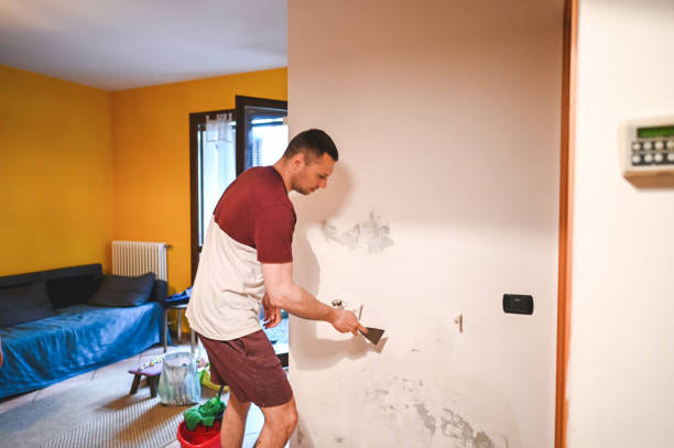 Best Attic Mold Removal  in Grass Lake, MI