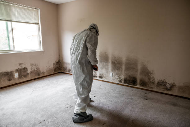 Best Crawl Space Mold Removal  in Grass Lake, MI