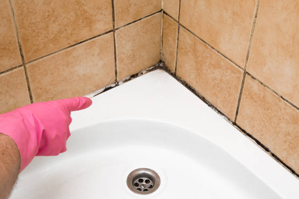 Best Water Damage Restoration  in Grass Lake, MI